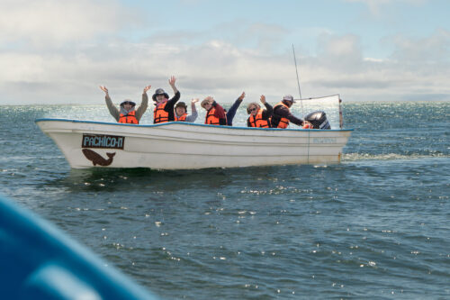 Whale Watching encounters in Laguna San Ignacio in Baja California.