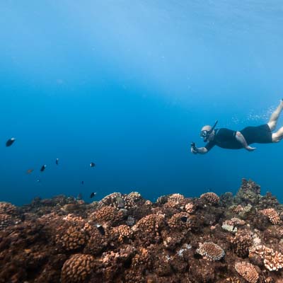 Snorkeling in Moorea